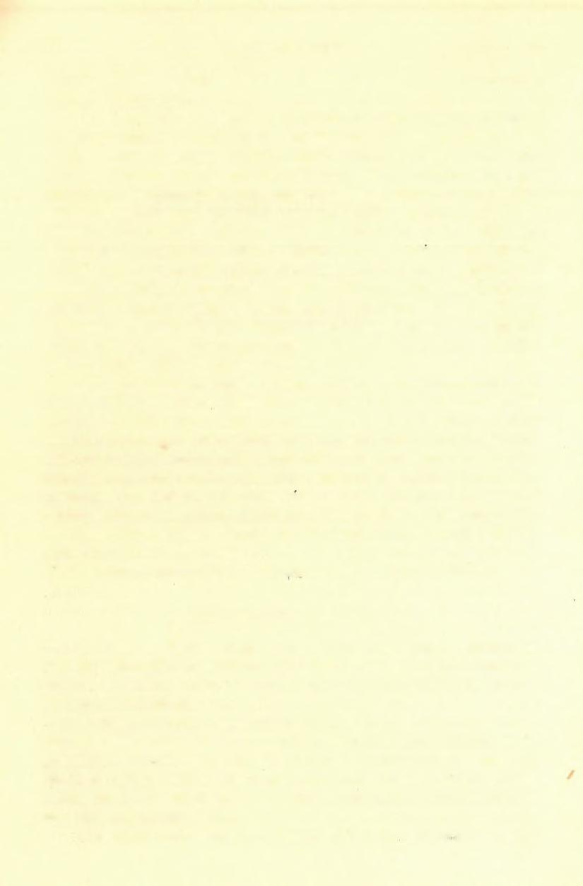 40 DS POSEWITZ TIVADAR. (2) Dümen 1391 /, Magurice 1266 /, Kamen Kliwka 1155 /, Djel-rahovski 1106 /, Tempa 1091 /.