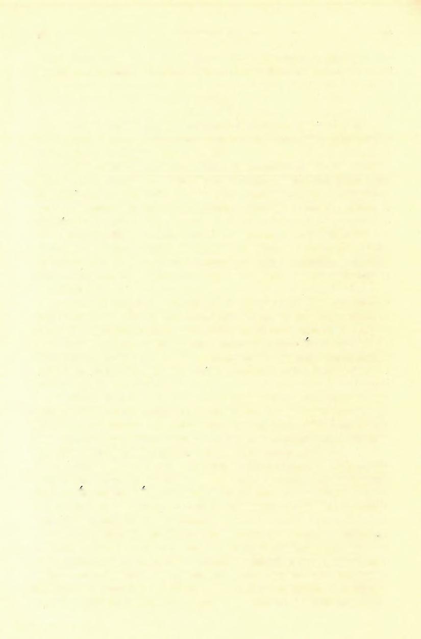 (7) FELVÉTELI JELENTÉS. 4E> a diasz-kvarczbrecsiát kisebb-nagyobb sziklatömzsökben az úton heverve,, hasonló módon, mint a Seredni-rikában. Vörös pala itt nem lép fel. 3. KRÉTA.