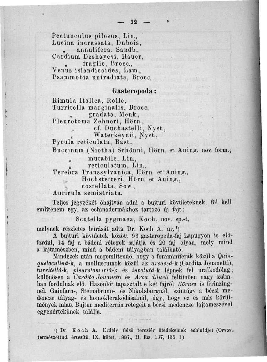sá Pectunculus pilosus, Lin., Lucina incrassata, Dubois, annulifera, Sandb., Cardium Deshayesi, Hauer, fragile, Brocc., Venus islandicoides, Lam., Psammobia uniradiata, Brocc.