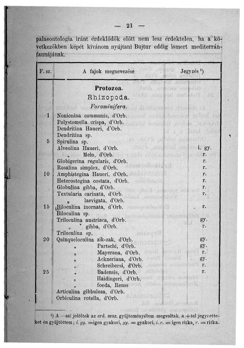 21 palaeontologia iránt érdeklődők előtt nem lesz érdektelen, ha a következőkben képét kivánom nyújtani Bujtur eddig ismert mediterránfaunájának. F. sz. 1 5 10 15 20 25 Protozoa. Rhizopoda.