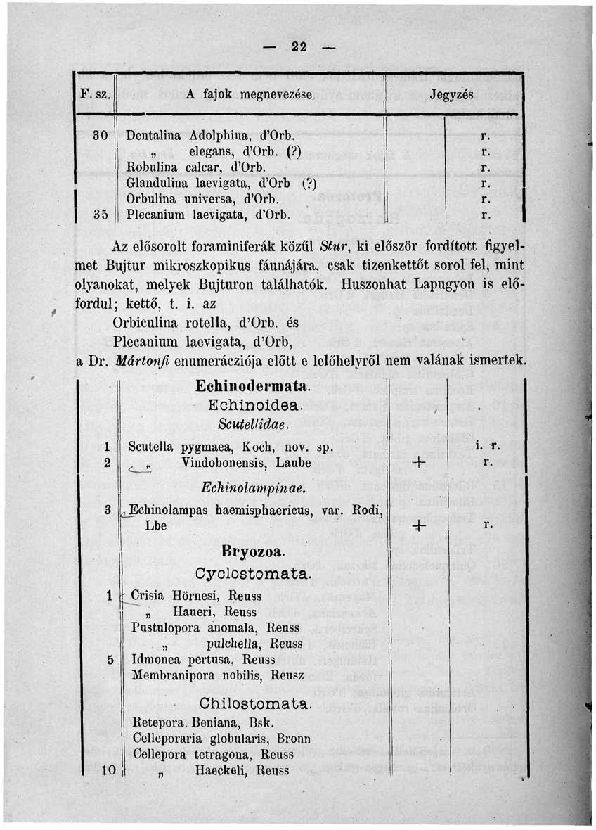22 P. sz. 30 1 j 35 Dentalina Adolphina, d'orb. elegáns, d'orb. (?) Robulina calear, d'orb. Glandulina laevigata, d'orb (?) Orbulina universa, d'orb. Plecanium laevigata, d'orb.