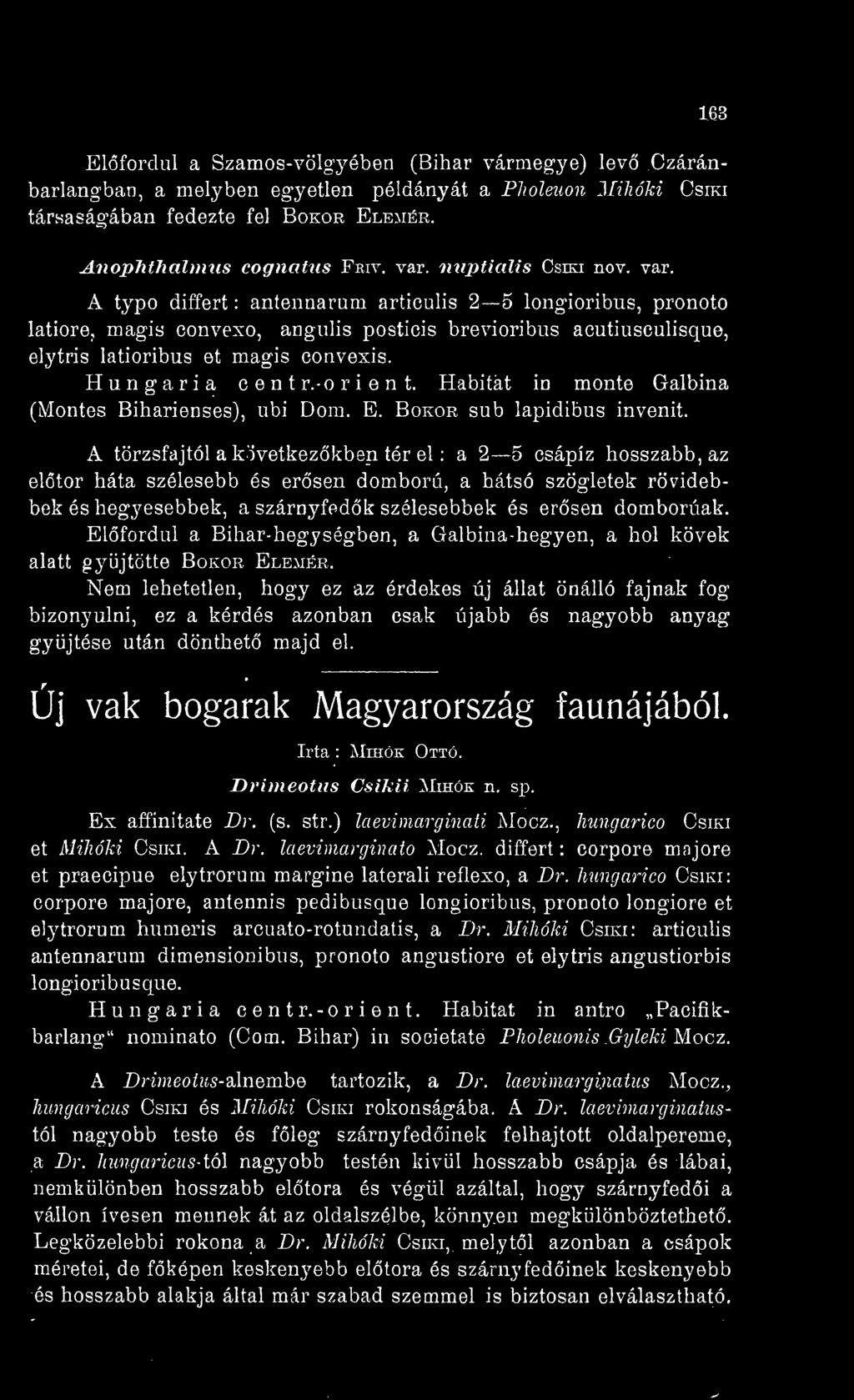 Elfordul a Bihar-hegységben, a Galbina-hegyen, a hol kövek alatt gyjtötte Bokor Elemér, Nem lehetetlen, hogy ez az érdekes új állat önálló fajnak fog bizonyulni, ez a kérdés azonban csak újabb és