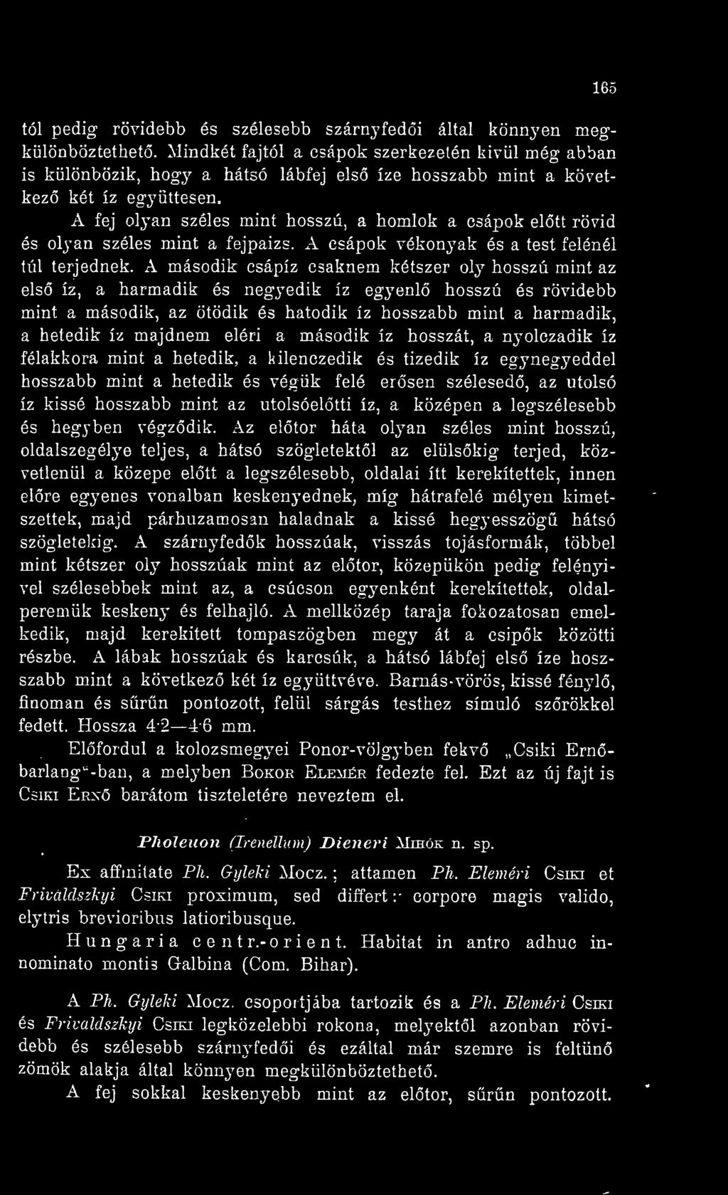 A fej olyan széles mint bosszú, a homlok a csápok eltt rövid és oh'an széles mint a fejpaizs. A csápok vékonyak és a test felénél túl terjednek.