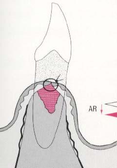 Atlas of Periodontology