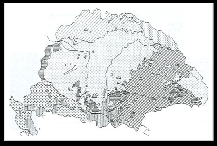 8. A feladat a Magyar Királyságban élő népcsoportokkal kapcsolatos. Töltsd ki a táblázat hiányzó részeit!