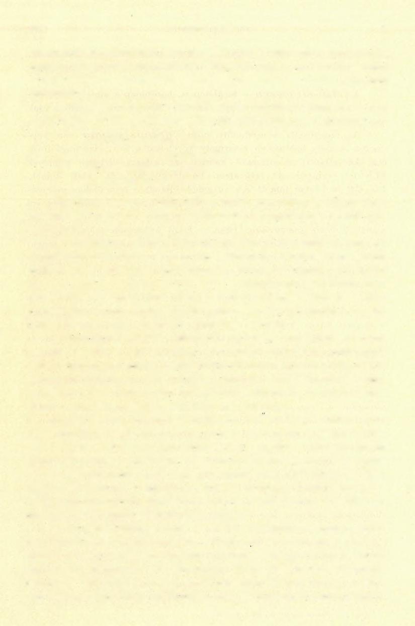 1 9 4 LIFFA AURÉL (6) nősen felsőbb szintjeiben, míg mélyebb rétegei tömöttek.