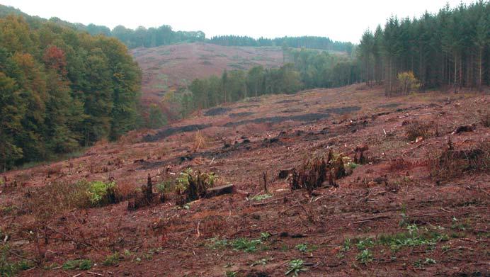 org) eredményeinek együttes elemzésével történt az IPCC A1B kibocsátási forgatókönyvének feltételezésével, három jövõbeli idõszakra (2021 2050, 2041 2070 és 2071 2100).