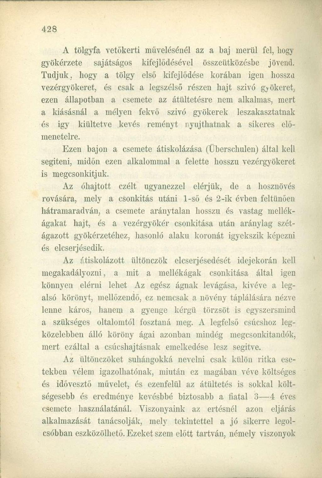 A tölgyfa vetőkerti művelésénél az a baj merül fel, hogy gyökérzete sajátságos kifejlődésével összeütközésbe jövend.