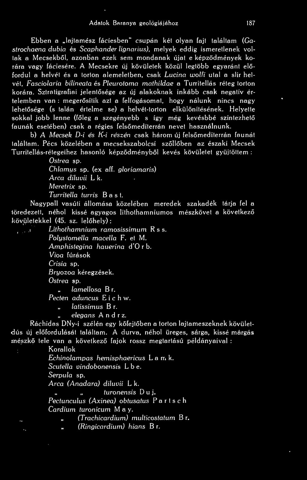 A Mecsekre új kövületek közül legtöbb egyaránt elfordul a helvét és a törtön alemeletben, csak Lucina wolfi utal a slir helvét, Fasciolaria bilineata és Pleurotoma mcithildae a Turritellás réteg