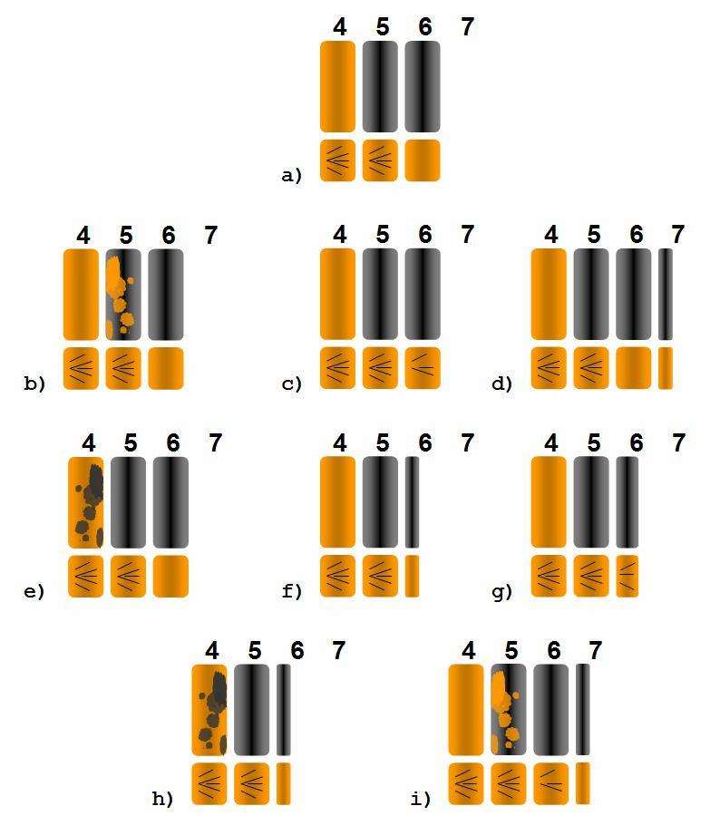 BEVEZETÉS 18 4 5 6 7 a) 4 5 6 7 4 5 6 7 4 5 6 7 b) c) d) 4 5 6 7 4 5 6 7 4 5 6 7 e) f) g) 4 5 6 7 4 5 6 7 h) i) 1.