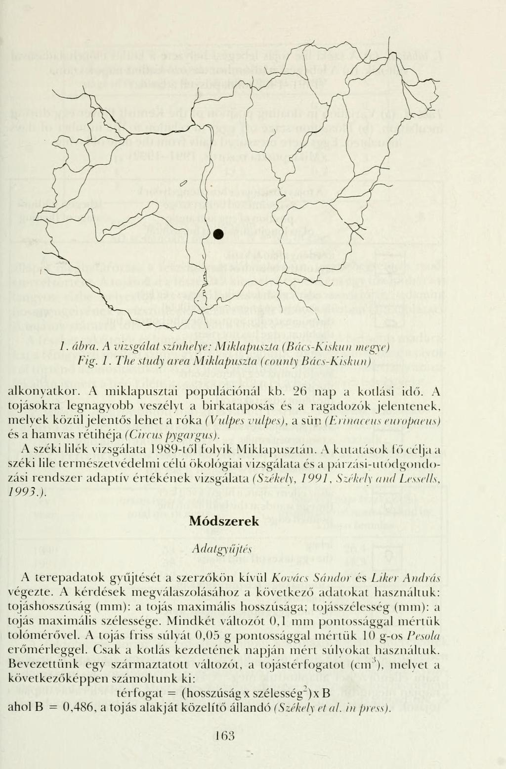 /. ábra. A vizsgálat színhelye: Miklapuszta (Bács-Kiskun megye) Fig. 1. The study area Miklapuszta (county Bács-Kiskun) alkonyatkor. A miklapusztai populációnál kb. 26 nap a kotlási idő.