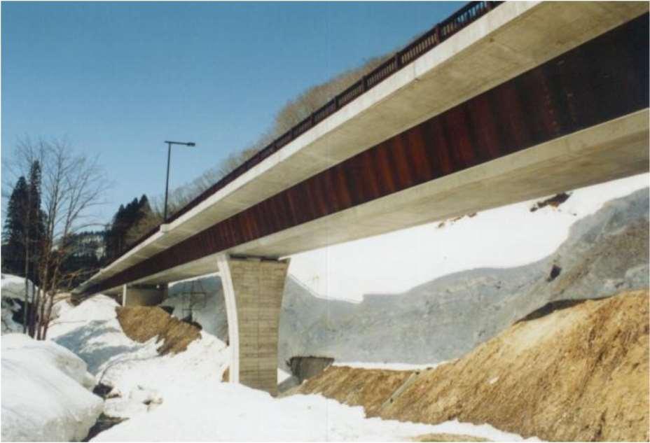 Az első japán híd az 1993-ban épült Shinkai-híd, Niigata tartományban. A második a Matsunoki-híd (Ginzan-Miyuki híd), mely 1996-ban készült el.