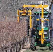 METSZÉS, KÖTÖZÉS A szőlőtermesztés-technológia során a metszés az a munkaművelet, melynek elvégzésére a leghosszabb idő áll rendelkezésünkre.