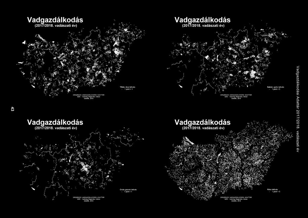 vadászati év) SZlE - Vadvilág Megörzési Intézet Gödöllő,2018 Tőkés réce lelövés 1 pnt = 1 Vadgazdálkdás (2017/2018.