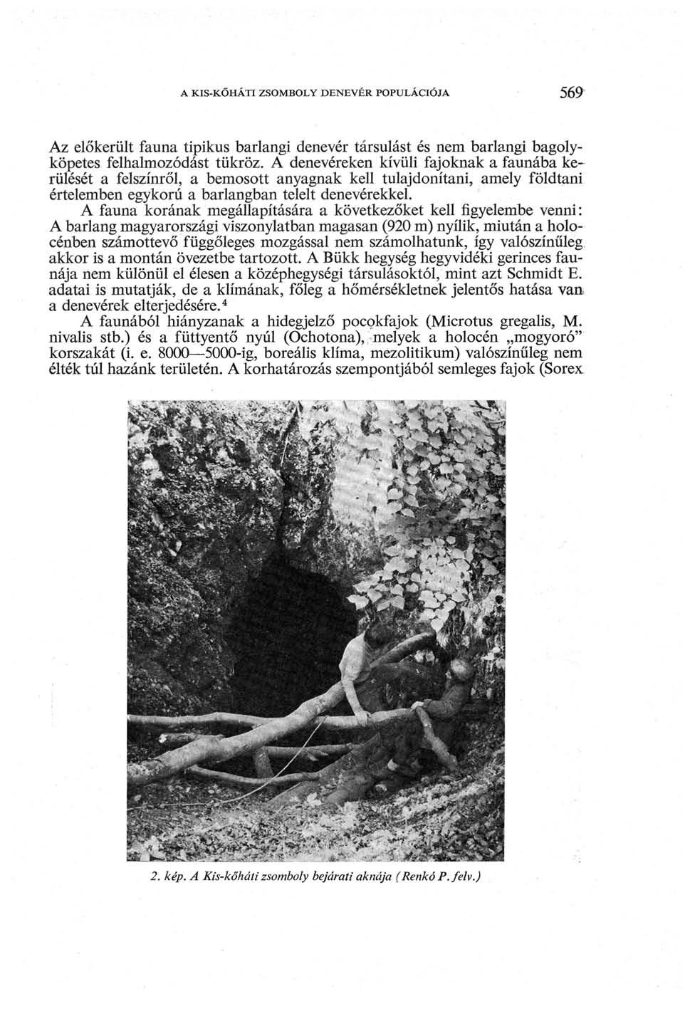 A KIS-KŐHÁTI ZSOMBOLY DENEVÉR POPULÁCIÓJA 569 Az előkerült fauna tipikus barlangi denevér társulást és nem barlangi bagolyköpetes felhalmozódást tükröz.