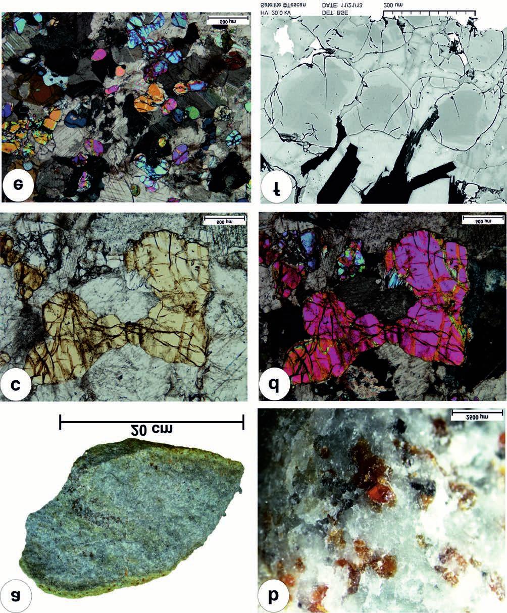 318 SPRÁNITZ T. et al.: Jégszállította dumortierites gneisz, klinohumitos márvány és szkapolitos amfibolit a Duna pleisztocén kavicsanyagában 5. ábra.