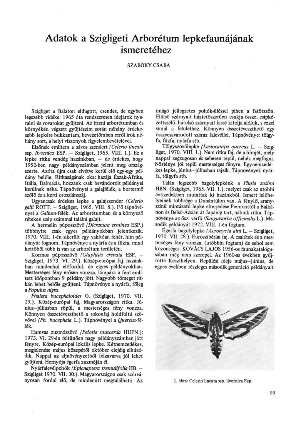 Adatok a Szigligeti Arborétum lepkefaunájának ismeretéhez SZABÓKY CSABA Szigliget a Balaton eldugott, csendes, de egyben legszebb vidéke. 1965 óta rendszeresen idejárok nyaralni és rovarokat gyűjteni.