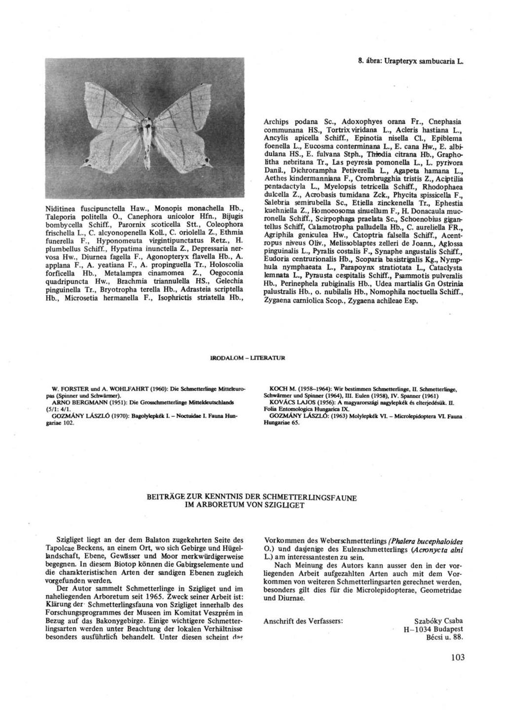 8. ábra: Urapteryx sambucaria L. Nidittnea fuscipunctella Haw., Monopis monachella Hb., Taleporia politella O., Canephora unicolor Hfn., Bijugis bombycella Schiff., Parornix scoticella Stt.
