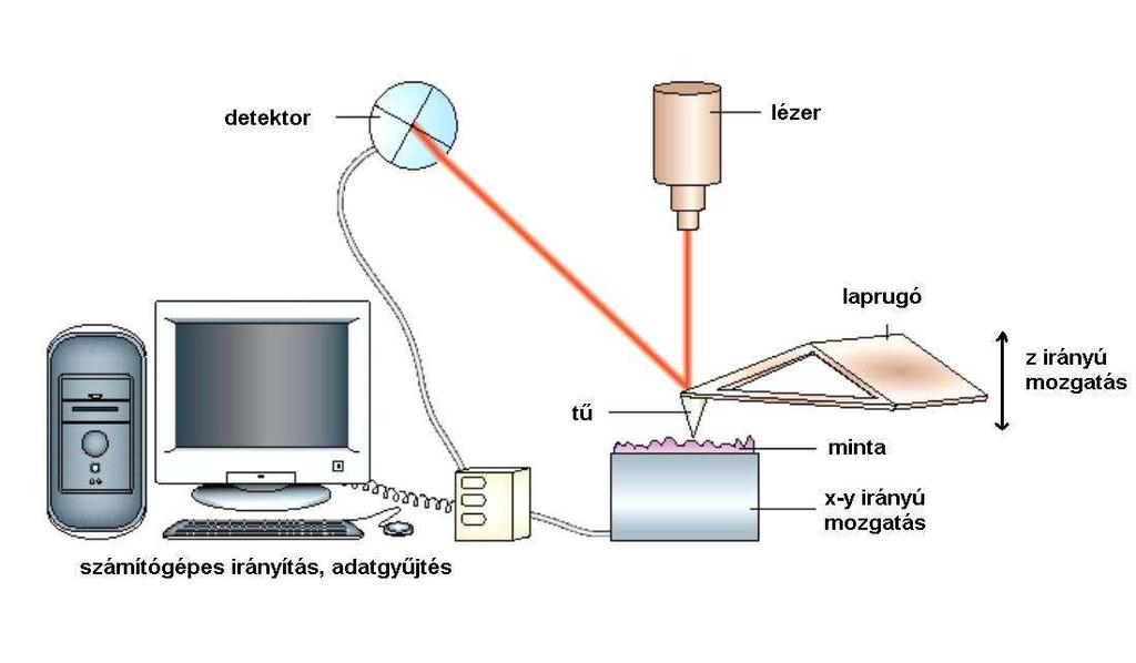 mozgatása x, y irányban történik, míg a tű ettől függetlenül z irányban mozoghat. A műszerrel a felületek nm-es felbontású, 3 dimenziós leképezése valósítható meg (7. ábra). 7.