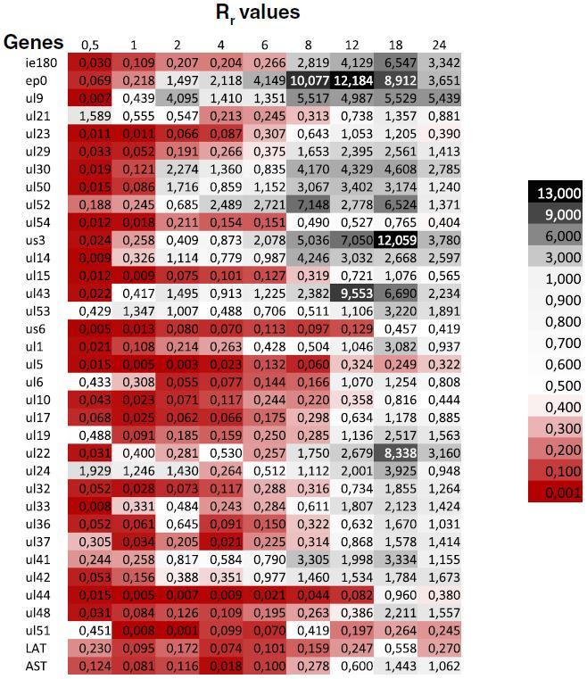 2. ábra. Az us1 kísérletben vizsgált gének mutánsban és vad típusban mért expressziójának az arányainak heat-map szerű ábrázolása.