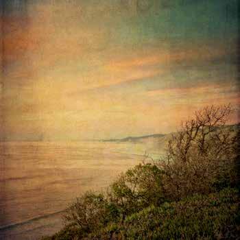 96 cm] HW069-A New Beginnings II Ryan 96 cm]