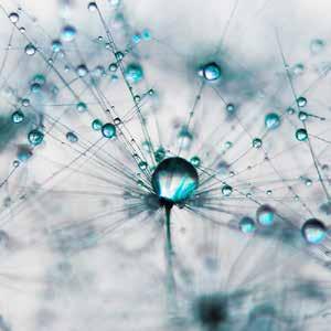 POD FLORAL IZ034-A Droplets of Teal