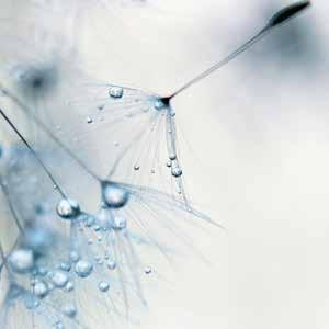 2 cm] IZ035-A Baby Blue 2 cm]