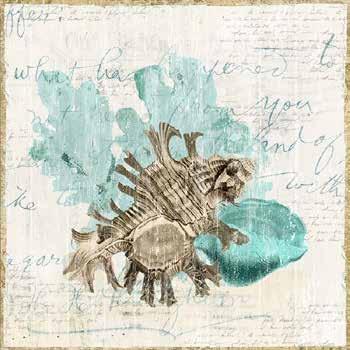 POD COASTAL MW029-A Shell Letter I Maya
