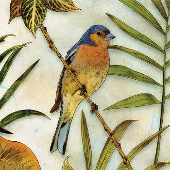 28 cm] SE062-A Jungle Bird II Edward 28