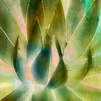 96 cm] HW065-A Organic Tonalities II Ryan 96