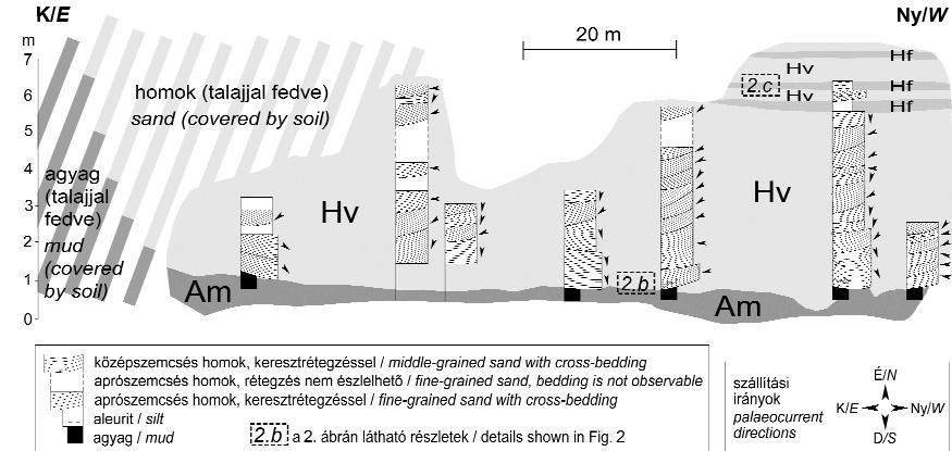 Földtani Közlöny 141/4 (2011) 367 3. ábra. A vértesacsai Csönget-völgy feltárásának vázlata.
