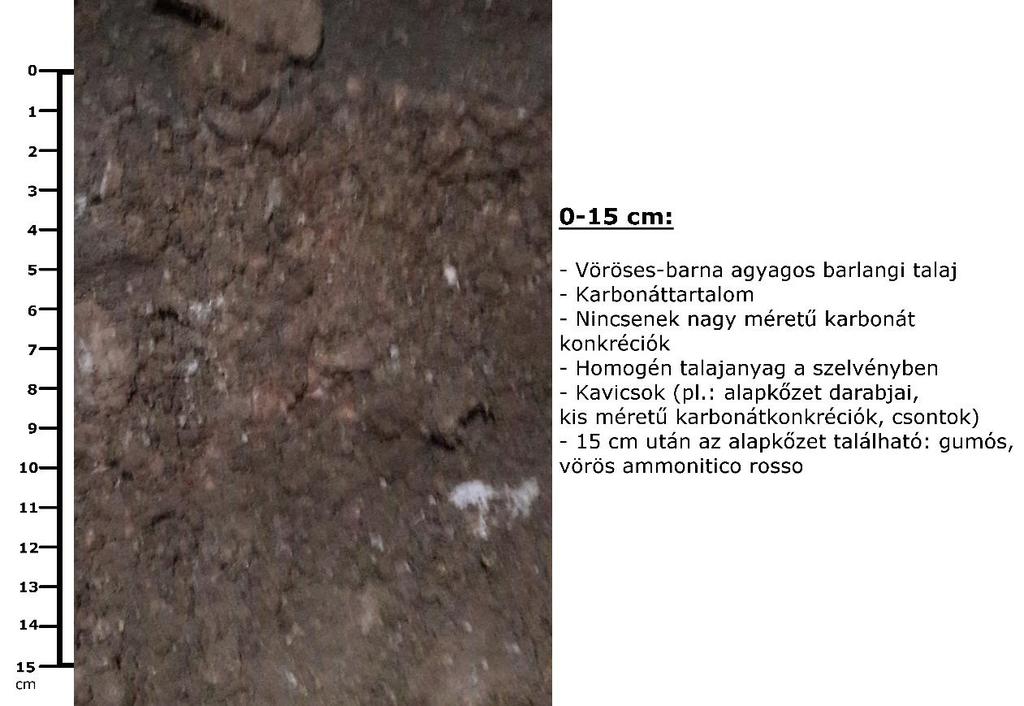 3. Iszapolás 6. ábra: A 2. szelvény fényképe, és az összegyűjtött megfigyeléseink A barlangban több mintázási helyet is megkülönböztettünk a feltárásokon belül.