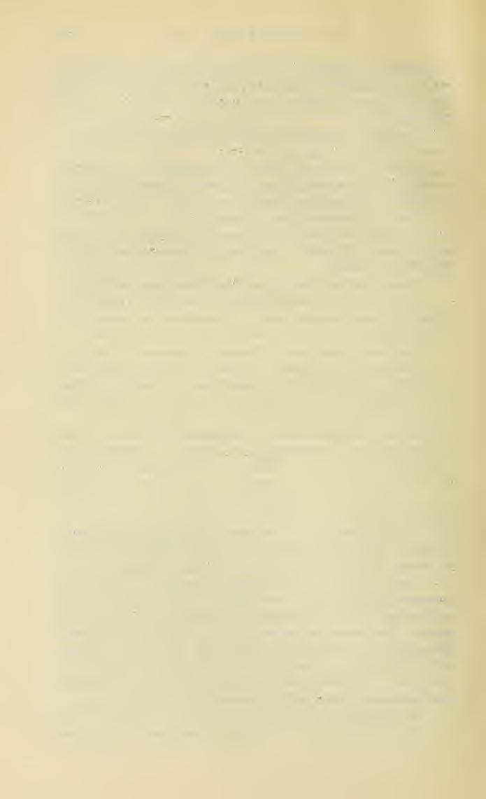 168 A. Aigner Lajos II. Visegrád, Kömld, Ili. Putnok, V. Maroskecze v. riideratas Fabr. I. Csongrád stíhterraneus L. I. Tisza-Alpár JonelUis Kirby VI. Apatin Derhamellus K. I. Félegyháza, II.
