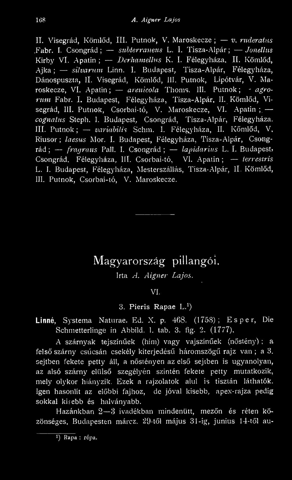 Kömld, III. Putnok, Csorbai-tó, V. Maroskecze. Magyarország pillangói. Irta A. Aigner Lajos. VI. 3. Pieris Rapae L.^) Linné, Systema Natiu-ae. Ed. X. p. 4f)8.