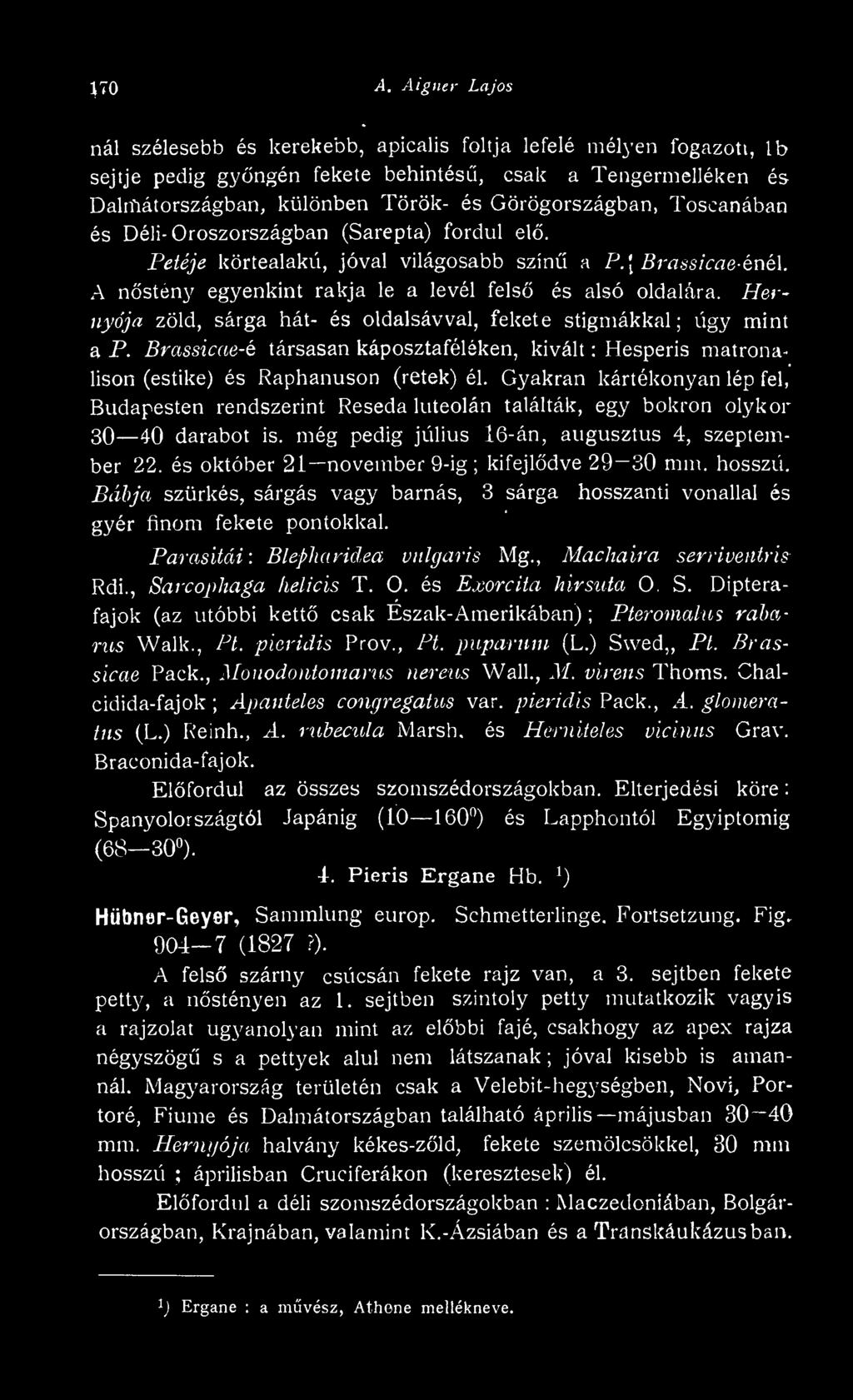 és október 21 november 9-ig kifejldve 29 30 mm. hosszú. Bábja szürkés, sárgás vagy barnás, 3 sárga hosszanti vonallal és gyér íinom fekete pontokkal. Parasitái : Blepharidea vulgáris Mg.