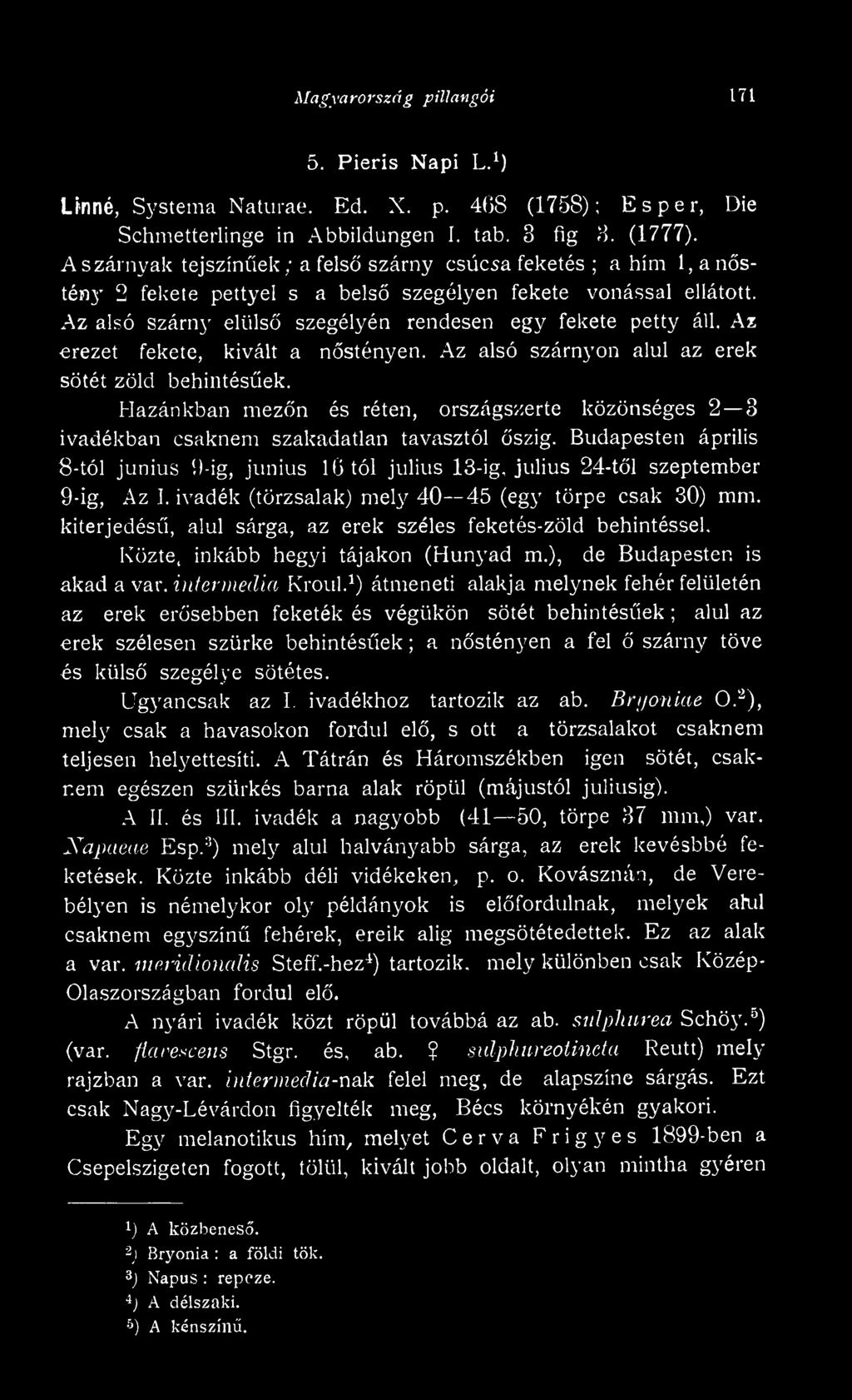 kiterjedés, alul sárga, az erek széles feketés-zöld behintéssel. Közte, inkább hegyi tájakon (Hunyad m.), de Budapesten is akad a var, interinedia Kroul.