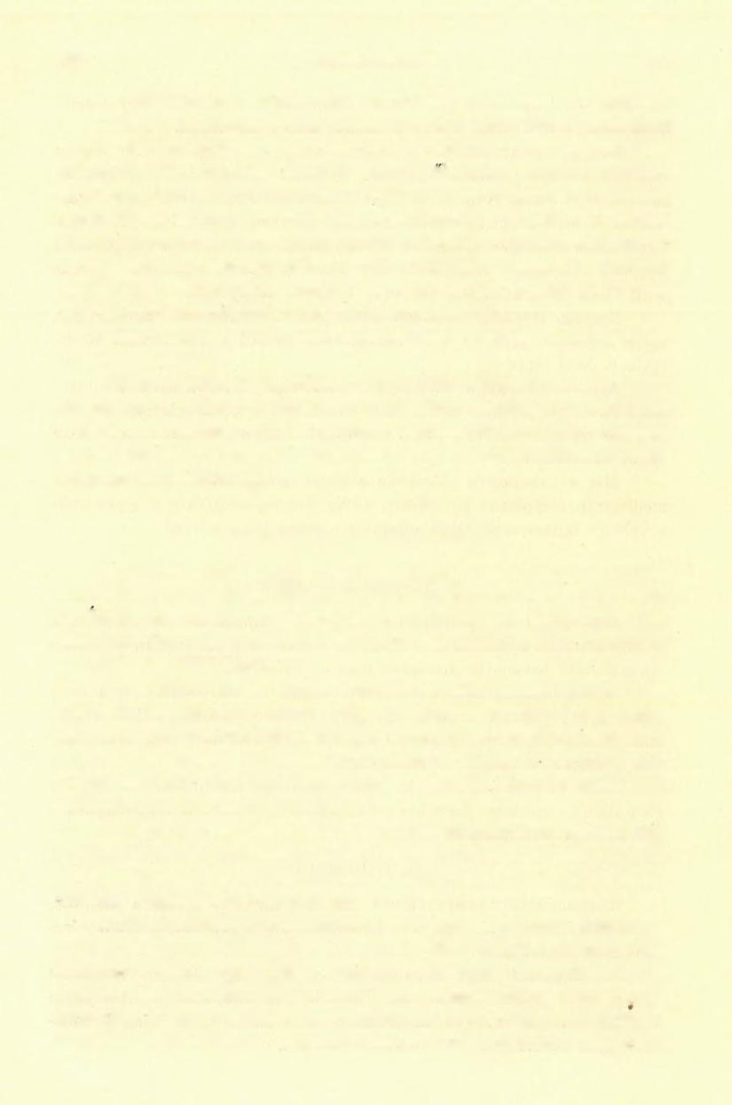 (4) FÖLVÉTELI JELENTÉS. 111 A rhynchonella kopott, hiányos s még legjobban az urgonienből és középneokomból ismert Rhynchonella irregularis, PicT.-hoz hasonlít.