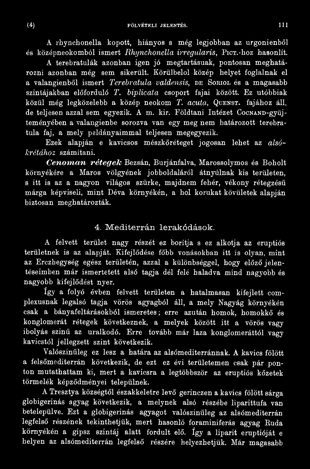 Földtani Intézet CocNAND-gyüjteményében a valangienbe sorozva van egy meg nem határozott terebratula faj, a mely példányaimmal teljesen megegyezik.