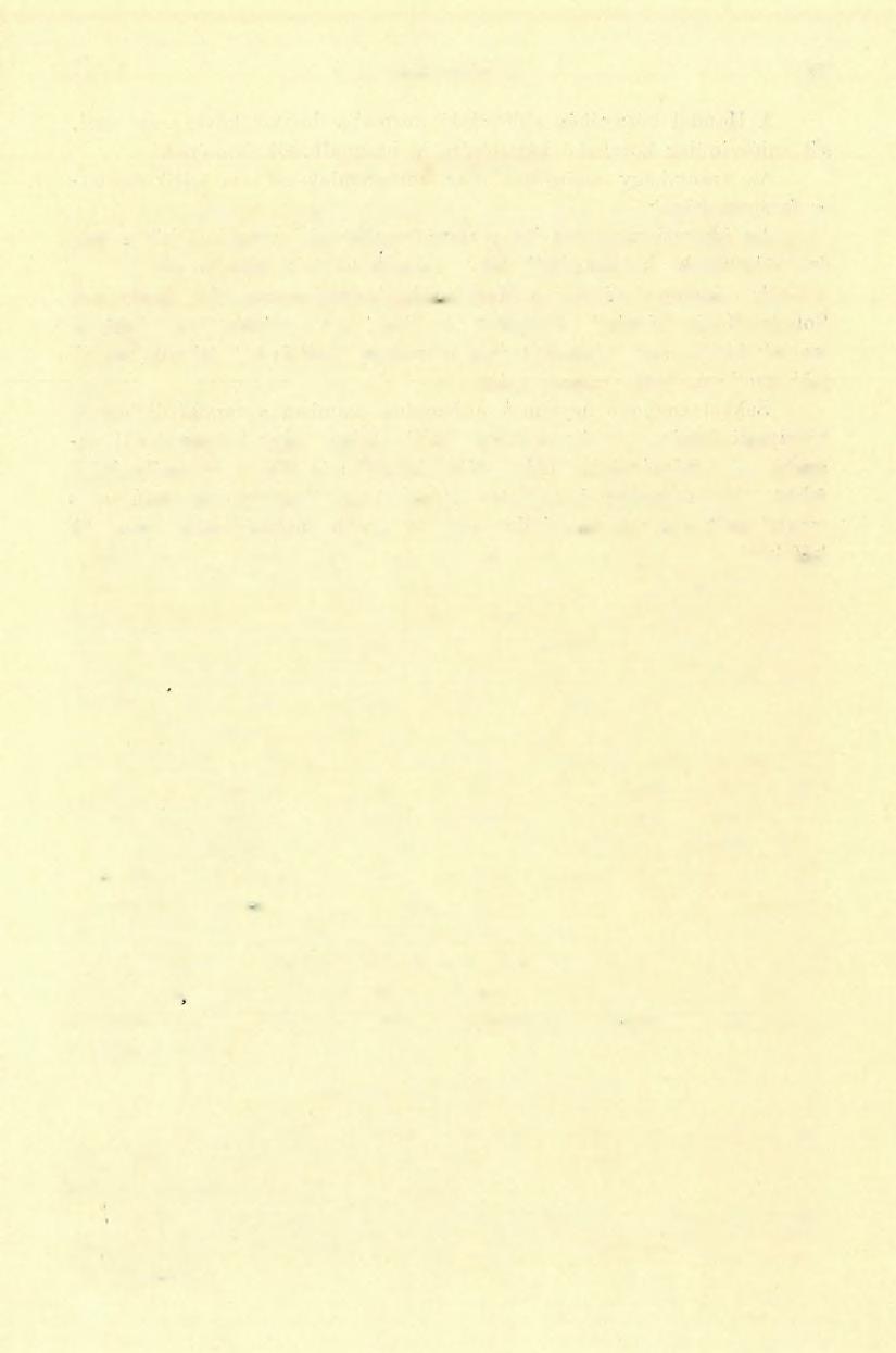(8 ) FÖLVÉTELI JELENTÉS. 115 13. Augitandesit.