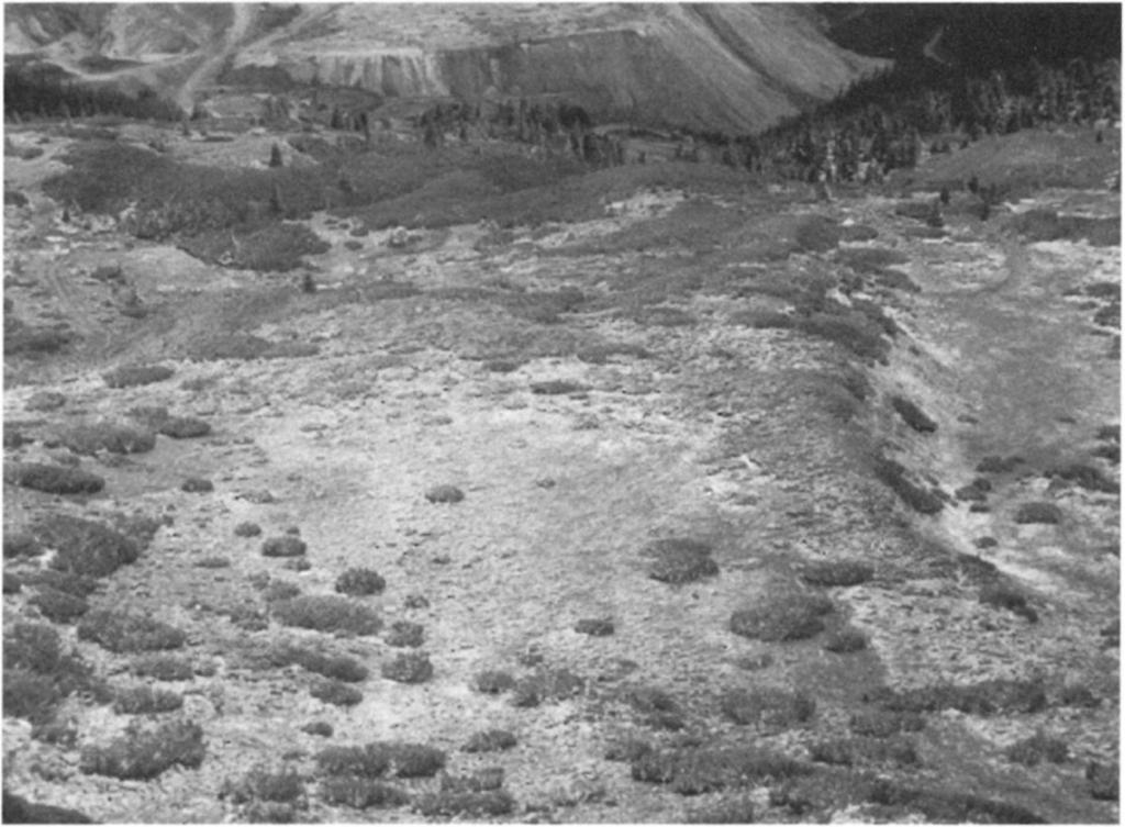 (3. kép). Ez a periglaciális forma, kisebb gleccsernyelvhez hasonló alakú kőtörmelék-összlet, melynek belsejéből kiolvadt már a jégmag és ezáltal megszűnt a mozgása.