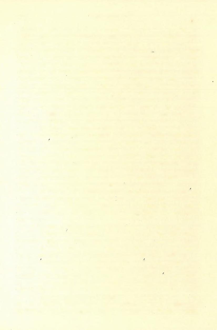 < 11) FELVÉTELI JELENTÉS. 85 trachit felé való folytatásában, a malmmészkő vagy fehér és világoskékes, finomszemű, vagy egészen kemény, kékes és vöröses, igen finomszemcsés.