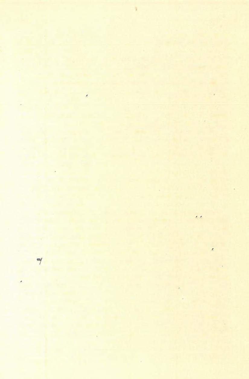 (13) FELVÉTELI JELENTÉS. 87 rétegek 70 80 -kal DDK-re dőlnek. Itt rossz aptychusok s rhynehonella mellett egy canaliculatos belemnitet hosszú barázdával a liasoldalon találtam.