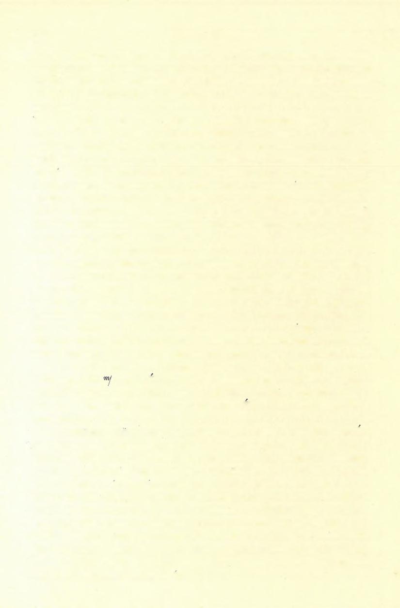 (17) FELVÉTELI JELENTÉS. 91 egynek kivételével, mely a szájnyílástól KÉK-i irányban hajtatott befelé, valamennyi már egészen beomlott.