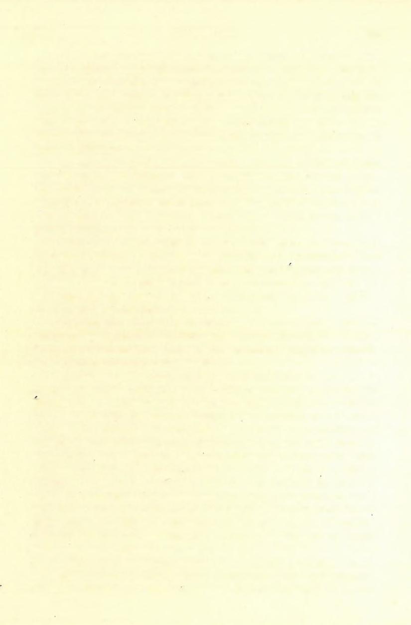 92 T. EOTH LAJOS. (18) Azon árok K-i oldalán, mely az oraviczai vámházzal szemben, tehát a völgy bal oldalán, a felső nagy tótól DKD-i irányban felhúzódik, a Bibel-féle téglavető van.