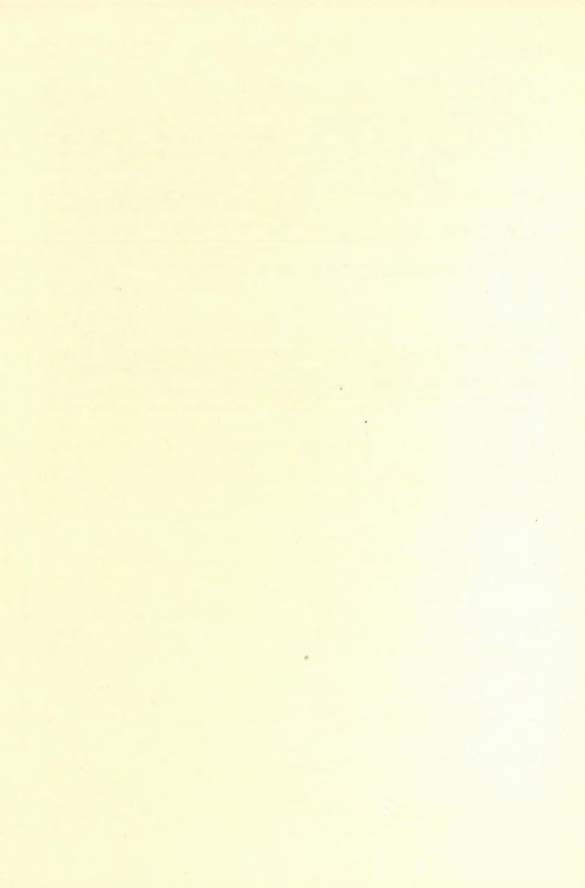 94 T. ROTH LAJOS. ( 2 0 ) kis házban éjjelező román papot több évvel ezelőtt egy leomló tufarög agyonütötte.