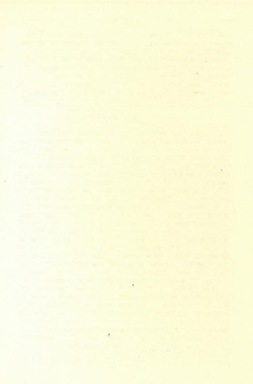 (5) FELVÉTELI JELENTÉS. 79 a diasz alsó osztályában vagy Geinitz alsó «Rothliegend»-jében otthonos, hol csaknem mindenütt találtatik.
