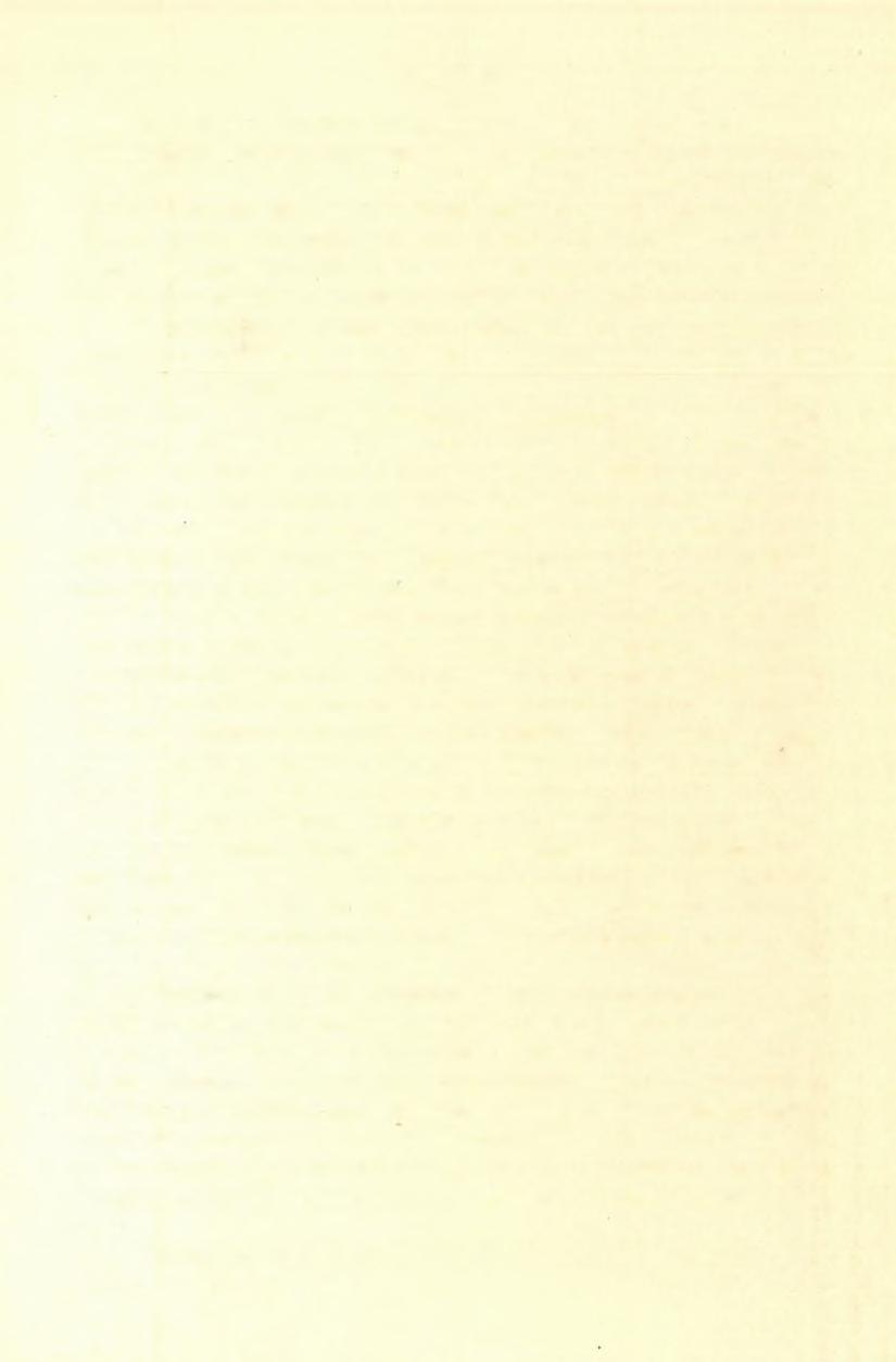 (7) FELVÉTELI JELENTÉS. 81 legesen is, dőlnek. A trachit érintkezésén a mészkő vagy kristályos-szemcsés mészszé változtatott át, vagy pedig egészen megkovásodott.
