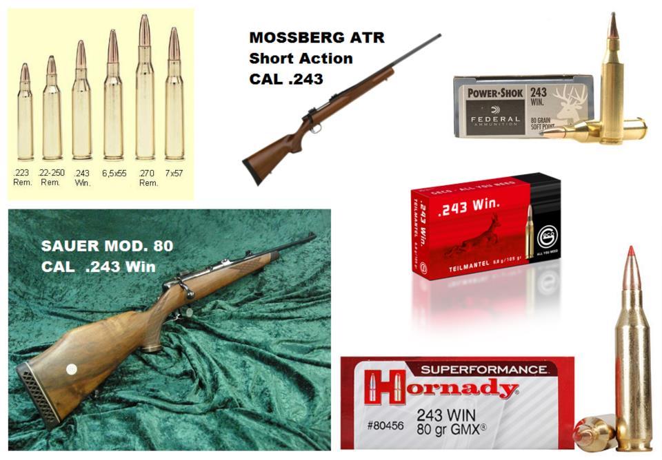.243 Win. A.243-as (6.16x51mm) nem klasszikus nagyvadas kaliber, azonban itthon sokan a legjobb kalibernek tartják őz vadászatára.