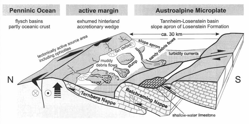 Wagreich 2003: A slope-apron succession filling a piggyback basin: the Tannheim and Losenstein