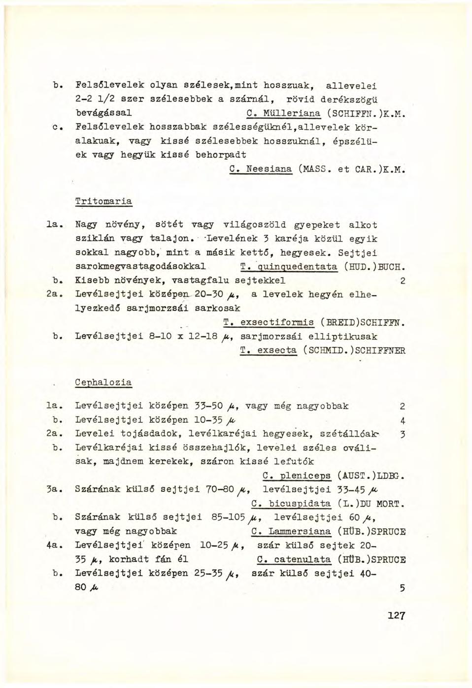 b. Felsőlevelek olyan szélesek,mint hosszúak, allevelei 2-2 l/2 szer szélesebbek a szárnál, rövid derékszögű bevágással C. Mülleriana (SCHIFF!!. )K.M. c.
